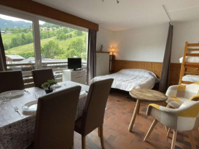 Studio cosy à Praz-Sur-Arly – 4 pers, proche des pistes et centre, parking, casier à ski, ménage inclus - FR-1-603-78